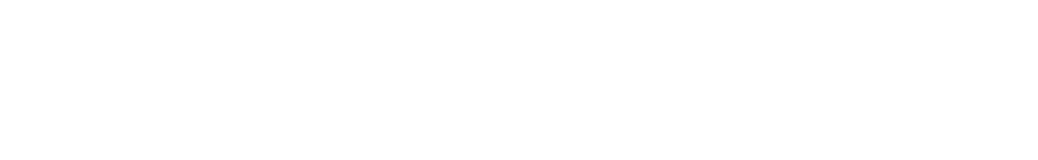 Videoprojekts